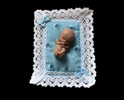 foetus in klei blauw bedje