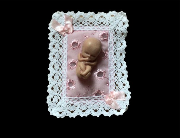 foetus in klei roze bedje